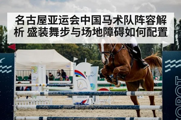 show jumping horse obstacle arena